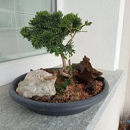 Santino's House 3* Peveragno