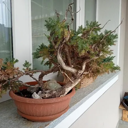 Maison d'hôtes Santino's House