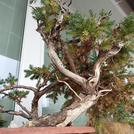 Santino's House 3* Peveragno