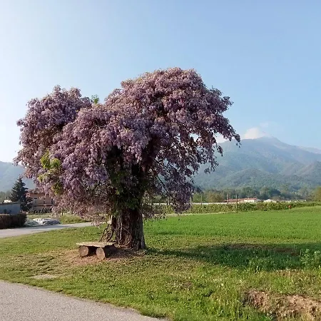 Santino's House Peveragno